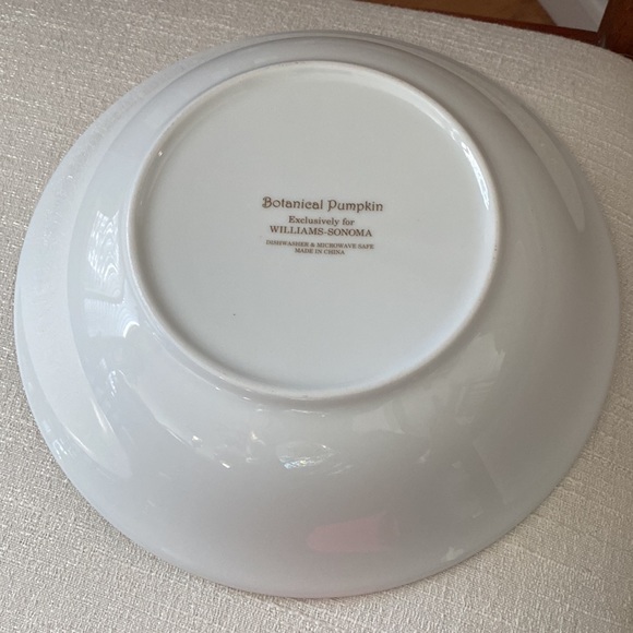 Sonoma Williams Botanical Pumpkin coupe soup bowl 8.75” x 2” deep - Picture 4 of 8